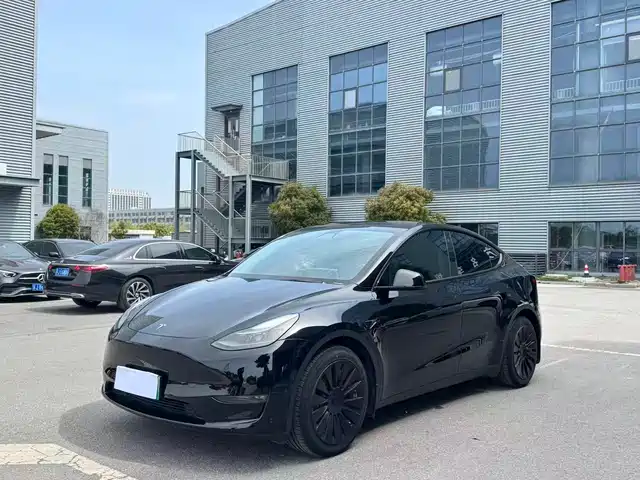 Tesla Model Y Model Y 2021 Standard Range Rear-Wheel Drive Version