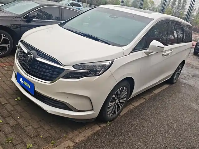 Buick Buick Gl8 Buick Gl8 2020 Es Lu Zun 653t Luxury Model — фото