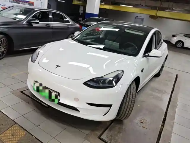 Tesla Model 3 Model 3 2022 Rear-Wheel Drive Version