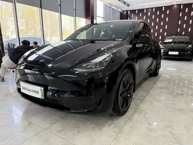 Tesla Model Y Model Y 2022 Rear-Wheel Drive Version — фото