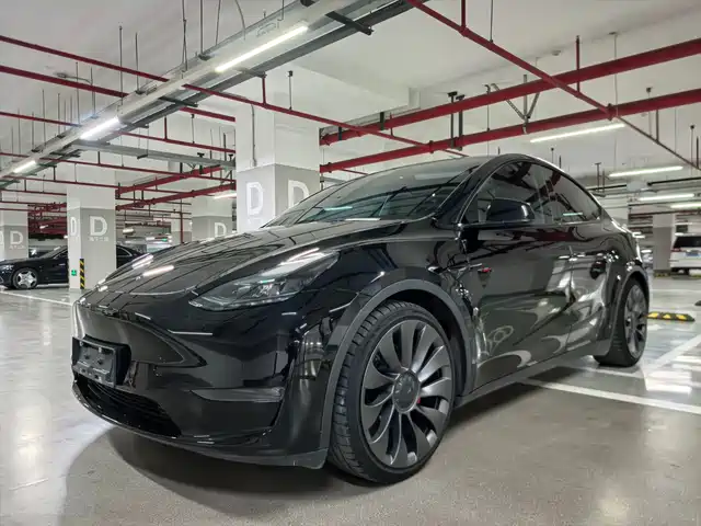 Tesla Model Y Model Y 2022 Performance High-Performance All-Wheel Drive Version — фото