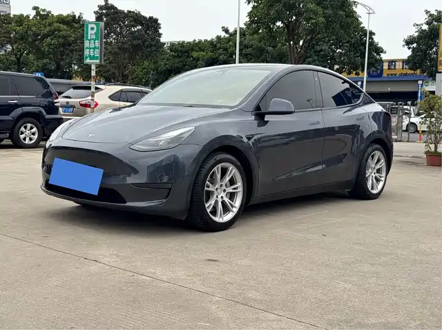 Tesla Model Y Model Y 2023 Rear-Wheel Drive Version