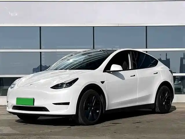 Tesla Model Y Model Y 2022 Long-Range All-Wheel Drive Version — фото