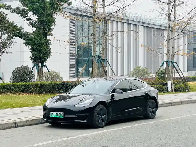 Tesla Model 3 (imported) Model 3 Imported 2019 Long Range Rear Drive Version — фото