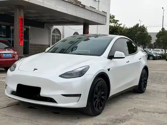 Tesla Model Y Model Y 2021 Standard Range Rear-Wheel Drive Version — фото
