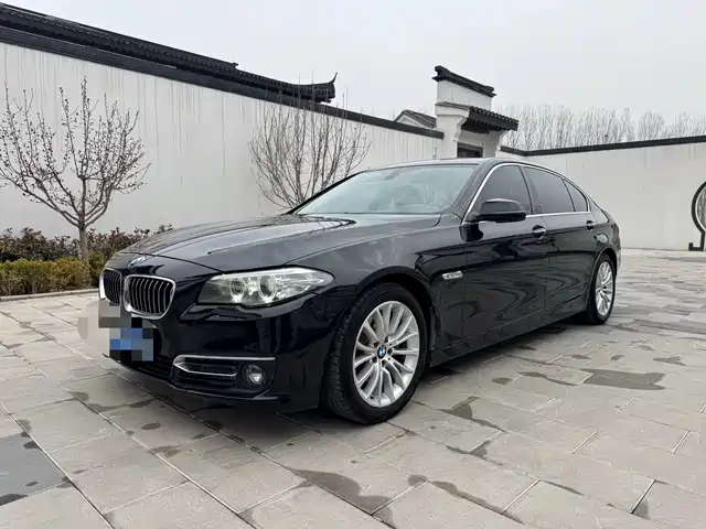 Bmw Bmw 5 Series Bmw 5 Series 2017 525li Luxury Design Package — фото