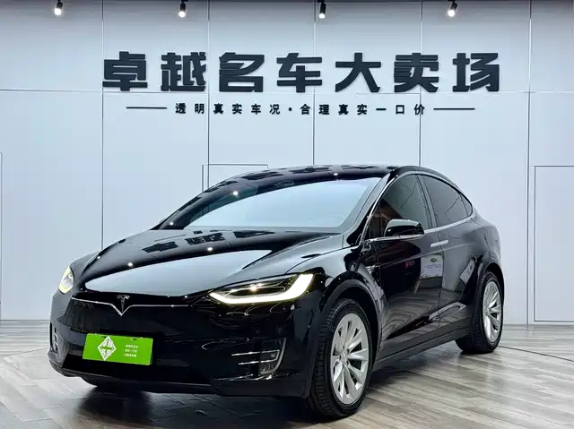 Tesla Model X Model X 2019 Long Range Edition — фото