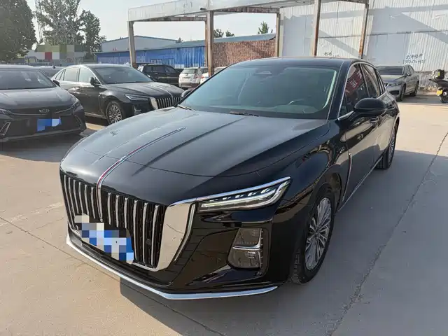 Red Flag Hongqi H5 Hongqi H5 2023 2.0t Automatic Intelligent Connected Flag Edition — фото