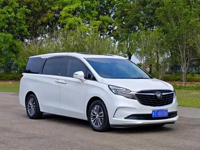 Buick Buick Gl8 Buick Gl8 2022 Es Lu Zun 653t Exclusive Type — фото