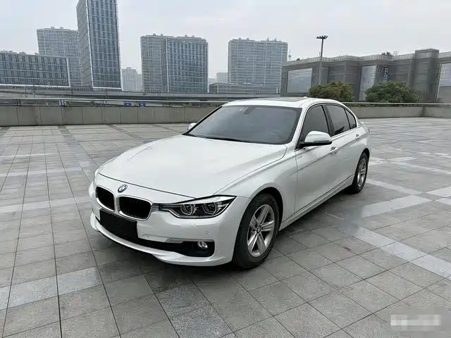 Bmw Bmw 3 Series Bmw 3 Series 2016 316li Fashion Model — фото
