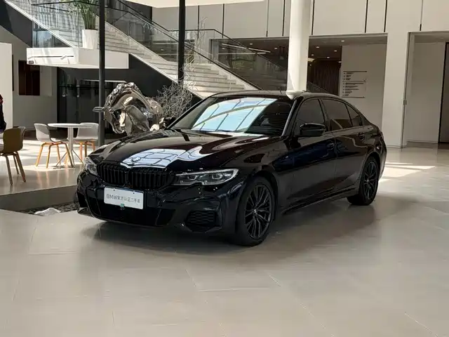 Bmw Bmw 3 Series Bmw 3 Series 2020 325li M Sports Night Package — фото