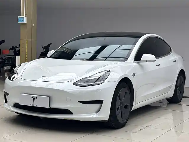 Tesla Model 3 Model 3 2020 Standard Range Rear Drive Upgraded Version — фото