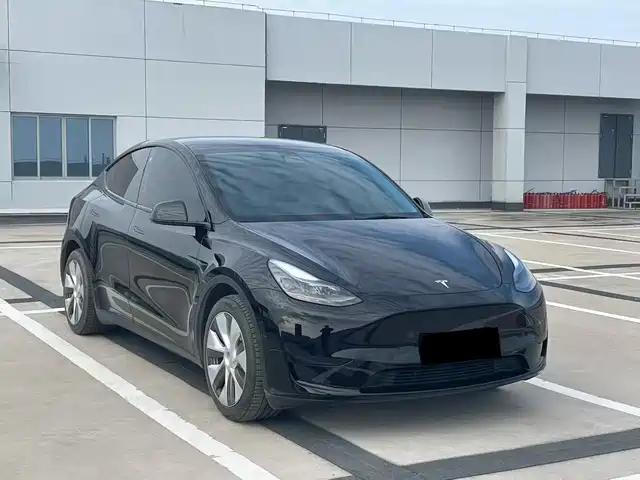 Tesla Model Y Model Y 2022 Facelift Rear-Wheel Drive Version — фото
