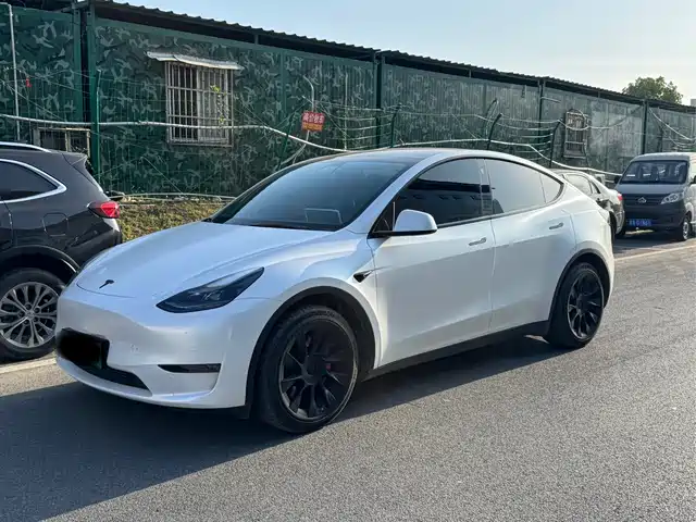 Tesla Model Y Model Y 2021 Standard Range Rear-Wheel Drive Version — фото