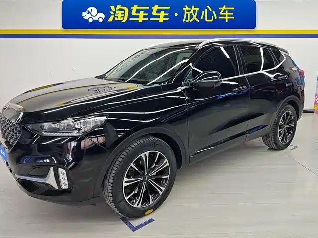 Wei Brand Wei Brand Vv6 Weipai Vv6 2021 2.0t 2wd Smart Enjoy+ — фото