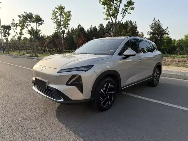 Wuling Motors Wuling Starlight S Wuling Starlight S 2024 130km Flagship Model