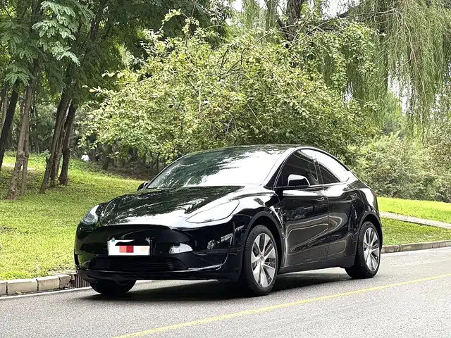 Tesla Model Y Model Y 2022 Rear-Wheel Drive Version — фото