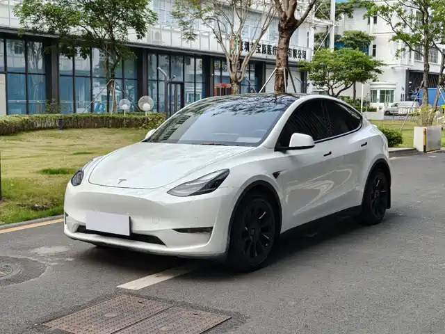 Tesla Model Y Model Y 2021 Long-Range All-Wheel Drive Version — фото