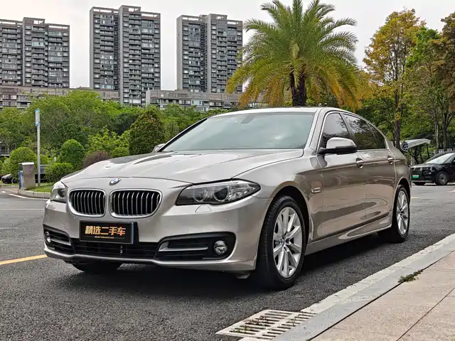 Bmw Bmw 5 Series Bmw 5 Series 2014 528li Leading Model