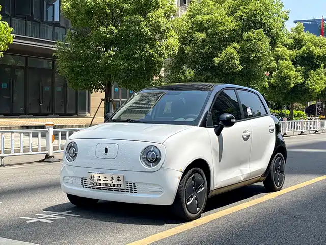 Euler Euler Black Cat Euler Black Cat 2021 301km Basic Model