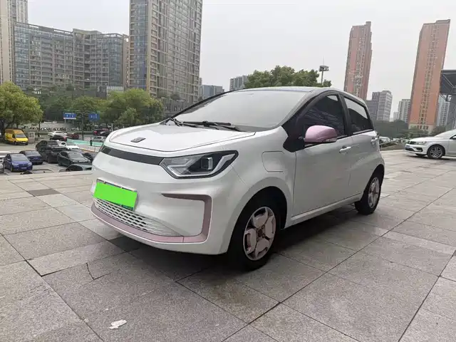 Si Hao Flower Fairy Flower Fairy 2022 Flower Fairy Style Gypsophila