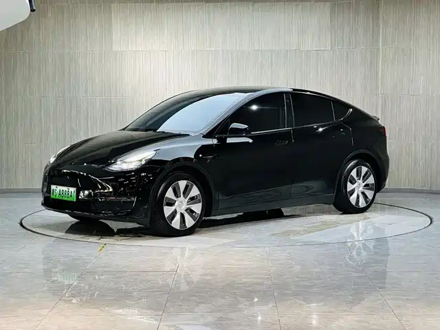 Tesla Model Y Model Y 2022 Rear-Wheel Drive Version — фото