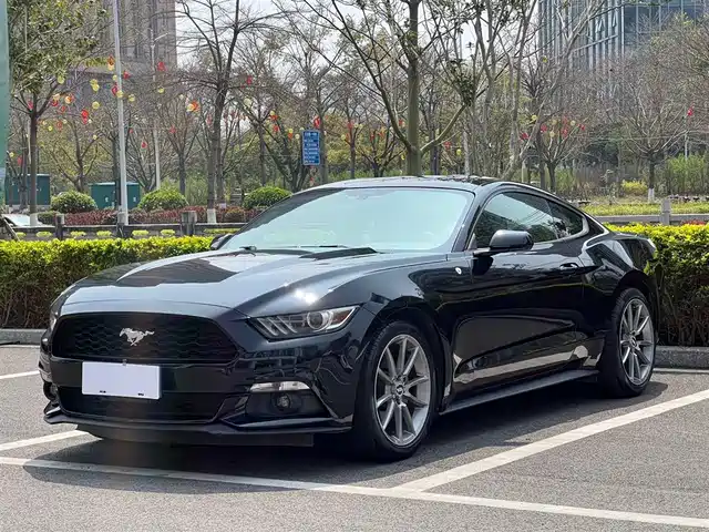 Ford Mustang Mustang 2015 2.3t 50th Anniversary Edition — фото