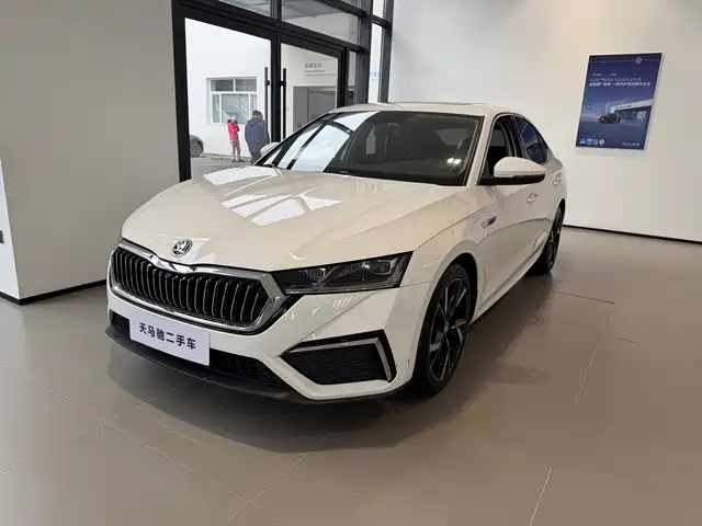 Skoda Octavia Octavia 2021 Pro Tsi280 Dsg Deluxe Edition