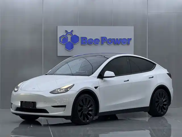 Tesla Model Y Model Y 2021 Performance High-Performance All-Wheel Drive Version