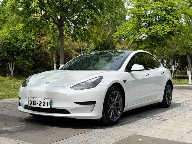 Tesla Model 3 Model 3 2021 Standard Range Rear Drive Upgraded Version