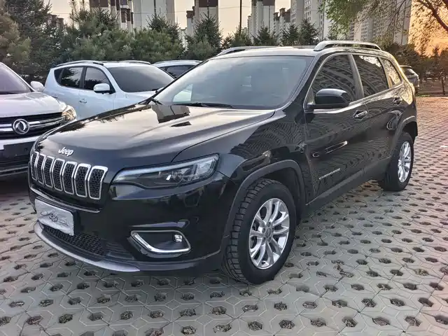 Jeep Free Light Liberty Light 2019 2.0t 2wd Intelligent Edition National V