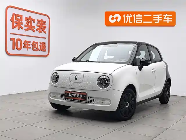 Euler Euler Black Cat Euler Black Cat 2022 301km Basic Model Ternary Lithium