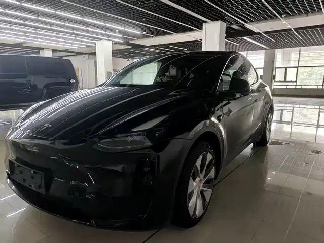 Tesla Model Y Model Y 2021 Standard Range Rear-Wheel Drive Version — фото