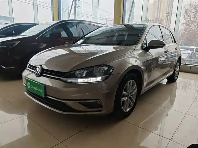 Volkswagen Golf Golf 2018 1.6l Automatic Comfort Type