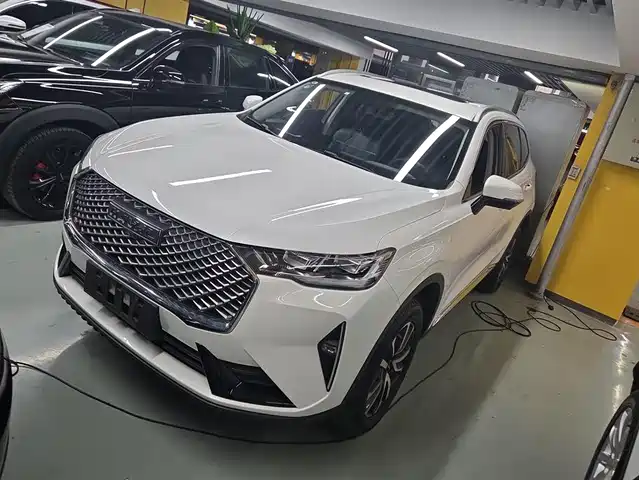 Harvard Haval H6 Haval H6 2021 Third Generation 1.5t Automatic Two-Wheel Drive Pro — фото