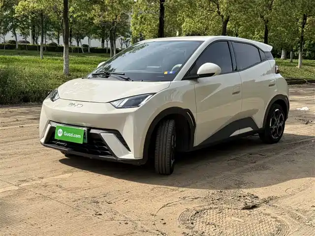 Byd Seagull Seagull 2023 Free Edition