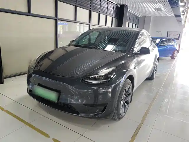Tesla Model Y Model Y 2024 Rear-Wheel Drive Version