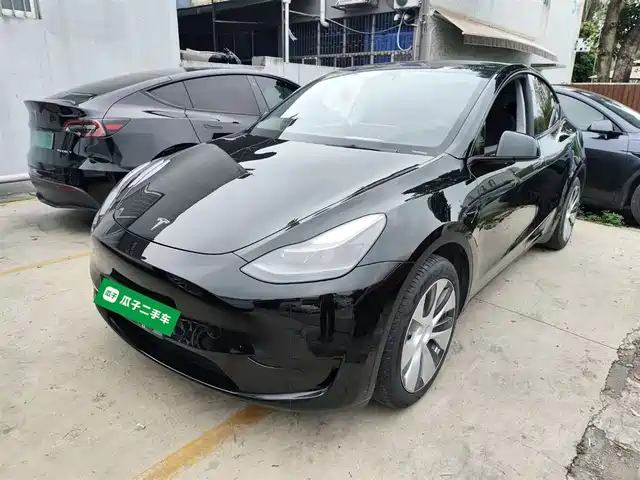 Tesla Model Y Model Y 2022 Rear-Wheel Drive Version