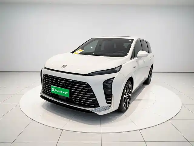 Buick Buick Gl8 New Energy Buick Gl8 New Energy 2024 Lu Zun Exclusive Edition 7 Seats