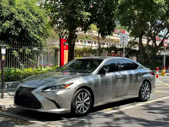 Lexus Lexus Es Lexus Es 2021 300h Excellence Edition