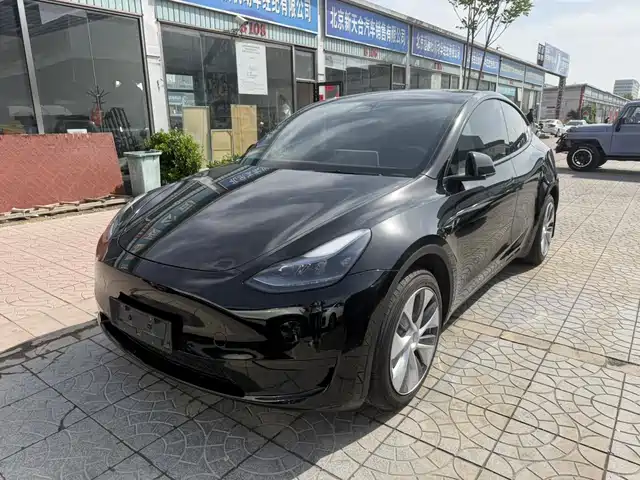 Tesla Model Y Model Y 2022 Facelift Rear-Wheel Drive Version