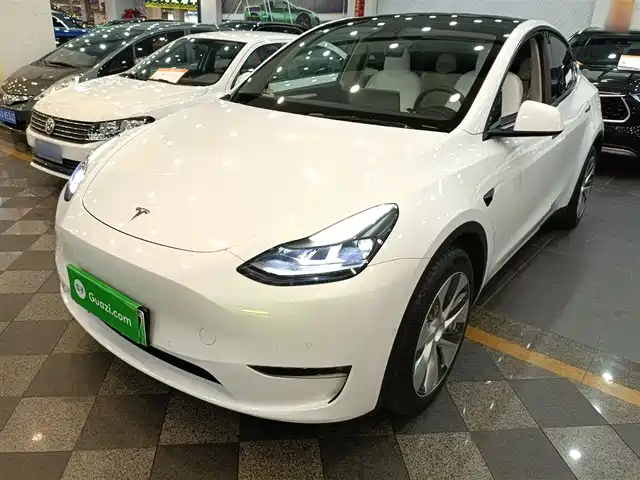 Tesla Model Y Model Y 2022 Long-Range All-Wheel Drive Version