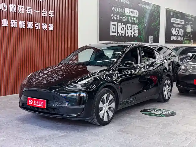 Tesla Model Y Model Y 2021 Standard Range Rear-Wheel Drive Version