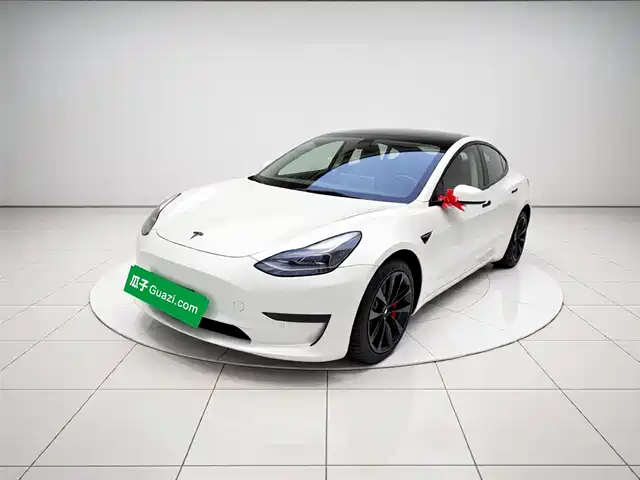 Tesla Model 3 Model 3 2021 Facelift Standard Range Rear Drive Upgraded Version 3d1 — фото