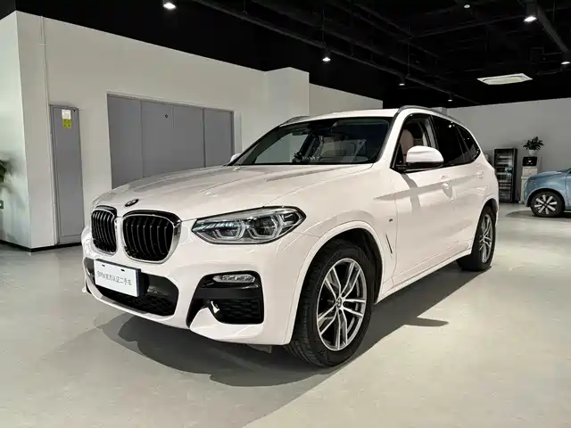 Bmw Bmw X3 Bmw X3 2018 Xdrive25i M Sports Package National Vi — фото