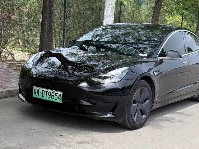 Tesla Model 3 Model 3 2020 Standard Range Rear Drive Upgraded Version — фото