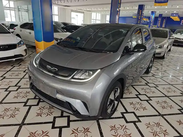 Byd Dolphin Dolphin 2023 420km Fashion Edition — фото