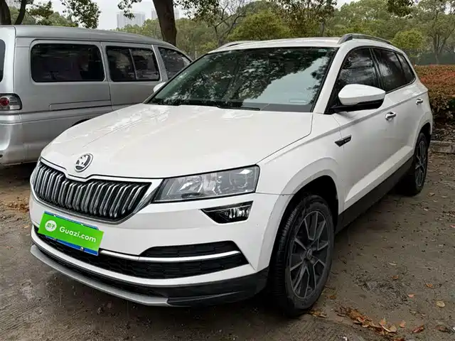 Skoda Korok Korok 2020 Tsi280 Zhixing Technology Edition National Vi