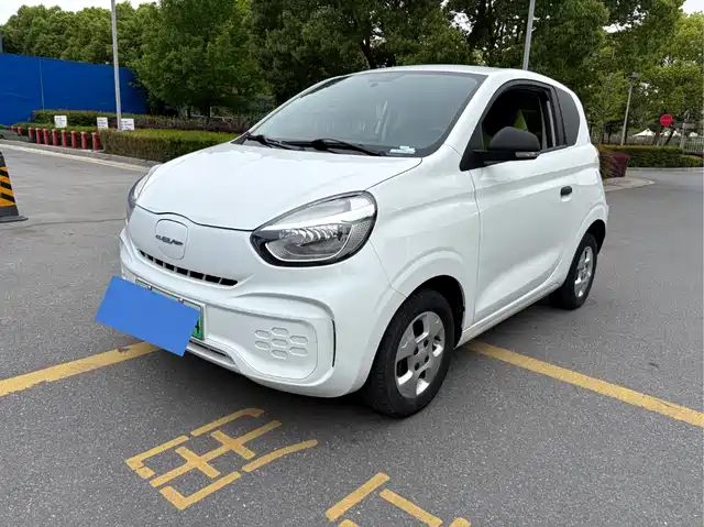 Roewe Clever Clever 2021 302km New Four-Seater Super Version