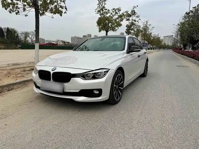 Bmw Bmw 3 Series Bmw 3 Series 2019 320li Fashion Model — фото
